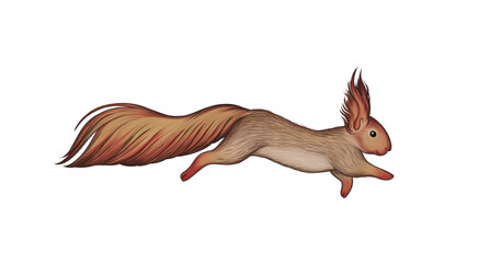 Squirrel Forest winter furry animals Hand drawn illustration with colored pencils isolated on white background for festive Vintage Christmas decoration design