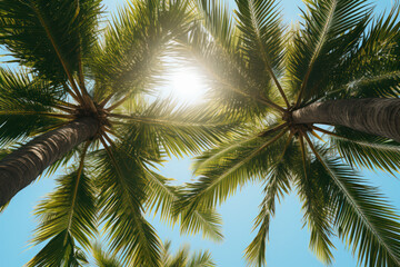 Palms against Blue Sky