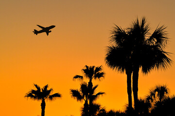 Fototapeta na wymiar Tropical palm trees silhouetted against a deep orange sky at sunset with a holiday jet flying over. No people. Copy space. Travel and holidays concept