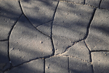 cracks in the asphalt pavement of the road