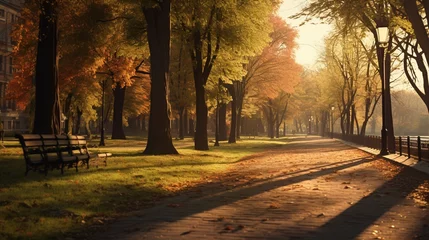 Foto op Canvas photorealistic, copy space, late afternoon light, Alley in the autumn park, tranquil scene, beautiful urban landscape in a park. Autumn colors and autumns leaves. © Dirk