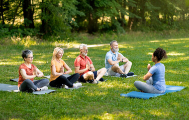 Group Of Active Senior People Practicing Yoga With Instructor Outdoors