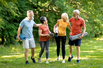 Group Of Happy Senior People Making Sport Training Together Outdoors