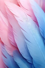 Beautiful multicolour feathers background in light pastel colors. Closeup image of colorful fluffy feather. Minimal abstract composition with place for text. Copy space