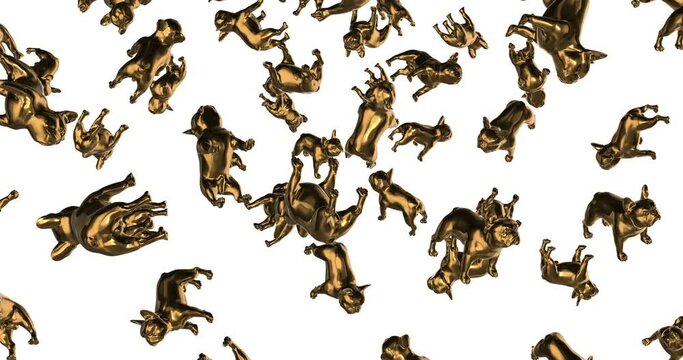 Golden French Bulldogs falling slow motion