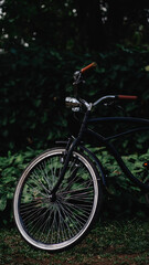 vintage bicycle in the park