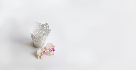 Pink Yellow Orchid flowers and vintage candle pot on white background