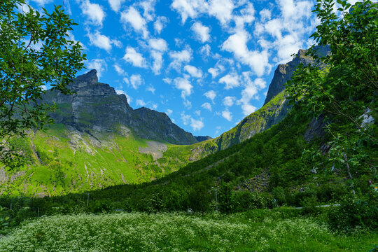 Beautiful classic Norwegian summer landscape in the month of July. mighty mountains meadows, sea. Beautiful classic summer view over the fjord.