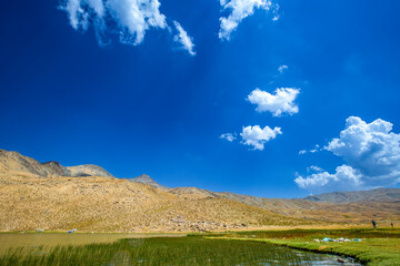 Wonderful nature in the day life, North of Iraq