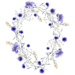 Wreath with watercolor wildflowers, herbs and grass, isolated on white background