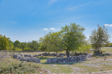 Historic Stone Wall Circle at Mostar Plateau in Bile