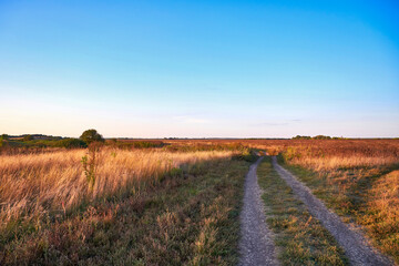Dirt road through the field at sunset