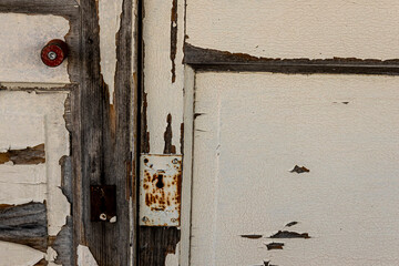 Background of flaking and chipped paint on door.