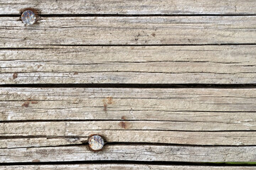 Closeup of weathered wood texture with rusty nails
