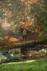 A lone person is walking among the orange autumn leaves in Retiro Park in Madrid, Spain.