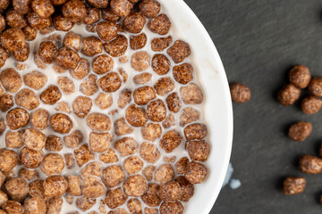 sweet and healthy chocolate balls with cow's milk