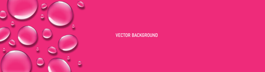 Abstract Vector background with Transparent Water Drops on Vibrant Pink Background.