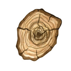 Rustic wood slices clipart. Hand drawn watercolor clipart for wedding invitations