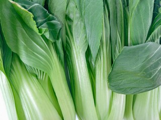 Textured of Pakcoy or Bok choy or spoon mustard greens (Brassica rapa subsp. chinensis). Popular green vegetables. Bok choy background