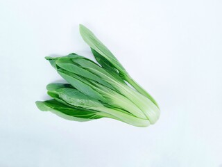 Pakcoy or Bok choy or spoon mustard greens (Brassica rapa subsp. chinensis). Popular green vegetables.
