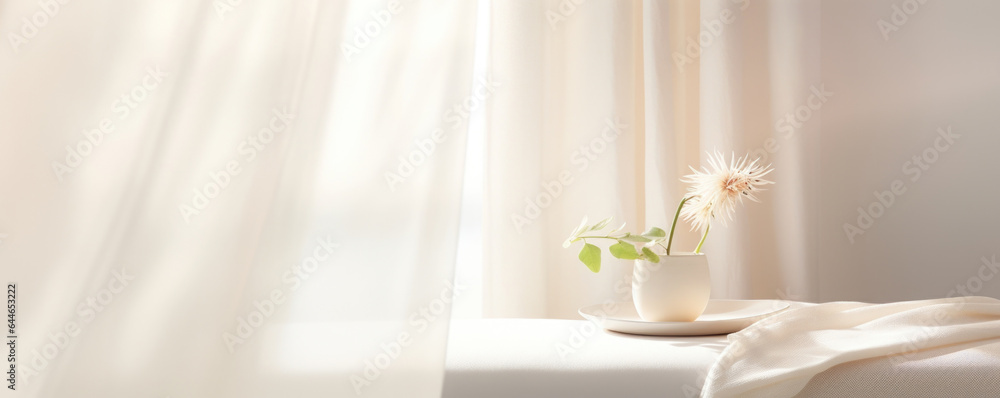 Poster a calming, zeninspired scene with a minimalist style, portraying a soft, diffused light cascading th