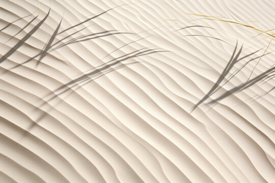 A closeup shot capturing the intricate patterns and textures of a sandy beach, with patches of dune grass gently swaying in the coastal breeze. The bright sunlight casts alluring shadows