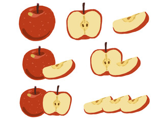 りんごと断面の手描き風イラストセット
