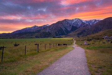 mountain road beside a grassy field at sunrise with snow capped mountains in the background