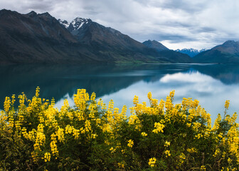 Wild flowers beside a lake on a cloudy day