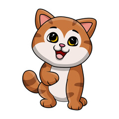Cute cat cartoon on white background