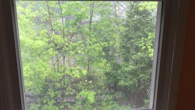 pouring rain through the window in the spring