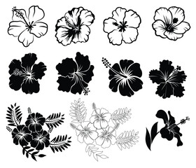 Collection of Hibiscus flower silhouettes, outlined vetor illustration - obrazy, fototapety, plakaty