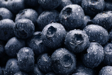 Wet fresh blueberries as background, closeup view