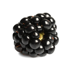 One tasty ripe blackberry isolated on white