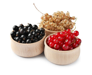 Fresh red, white and black currants in bowls isolated on white