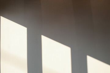 Shadow of the leaves from window on white wall texture. Sunshade shadow background. Tropical summer background with concrete wall.