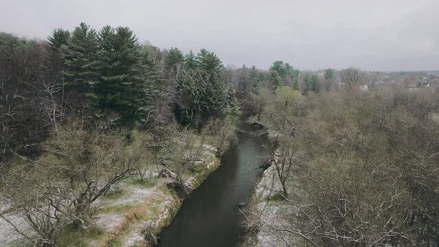 river in the forest