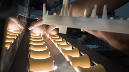 Several Eggs are on the conveyor of an automatic egg weighing machine.