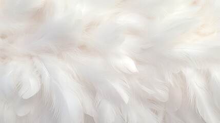 Obraz premium Background image composed entirely of soft white feathers.