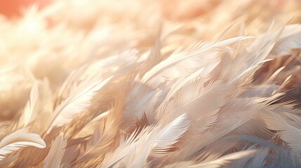 An image of a background of feathers with gentle and subtle movements.