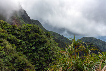 a lot of clouds over the mountain and jungle