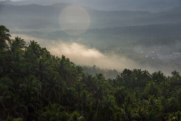 Fototapeta na wymiar Fog and clouds at dawn over the tropical forest