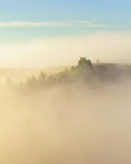 Naklejka premium misty dawn