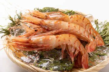 〔福島県産〕白ぼたん海老