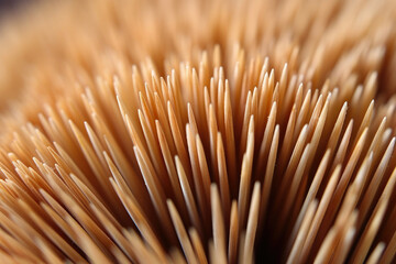 A Stunning Macro Close-Up: Revealing the Intricate Textural Background of Toothpicks