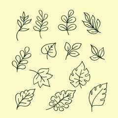 set of leaves hand draw illustration background template vector 