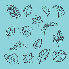 set of leaves hand draw illustration background template 