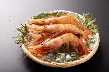 〔福島県産〕白ぼたん海老