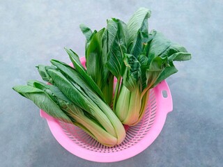 fresh green Pakcoy or Bok choy or mustard spoon (Brassica rapa subsp. chinensis). Popular green vegetables. Bok choy in pink basket