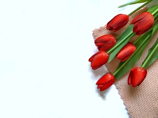 Top view of spring flowers red tulips isolated on the pink knitting cloth with white background textures , copy space for texts , flat lay 